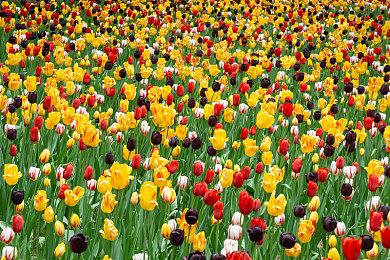 《绝地求生》将迎来重大更新，虚幻5引擎带来全新体验