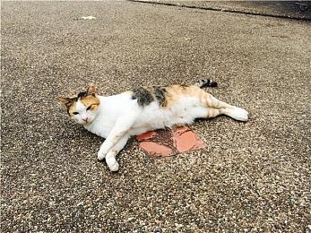 更流畅的游戏体验！KK对战平台地图增量更新功能正式上线